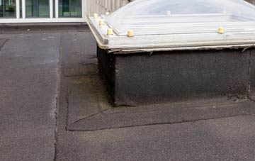 disadvantages of Staple Fitzpaine flat roofs