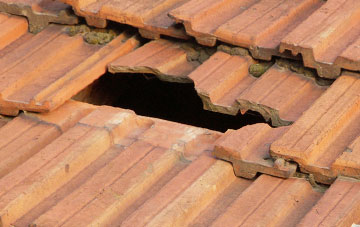 roof repair Staple Fitzpaine, Somerset