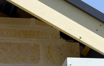soffit repair Staple Fitzpaine