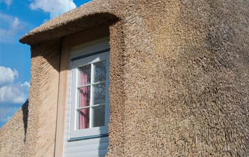 Staple Fitzpaine thatch roof disadvantages