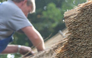 professional Staple Fitzpaine thatchers